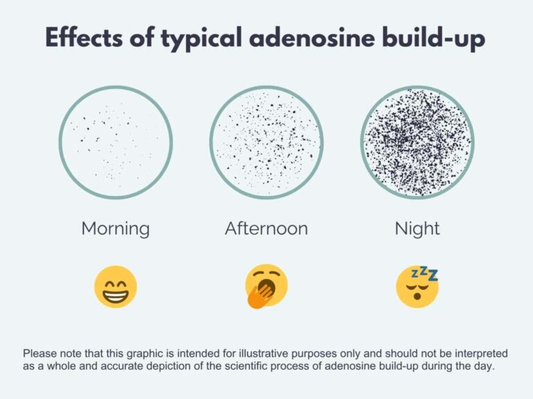 Does Coffee Make ADHD People Sleepy