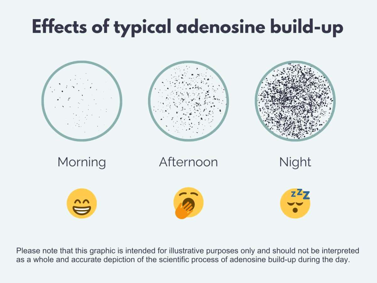 Does Coffee Make ADHD People Sleepy: Science And Tips