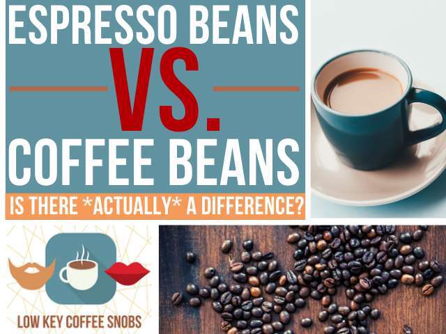 Can You Make Espresso With Coffee Beans: Home Barista Guide