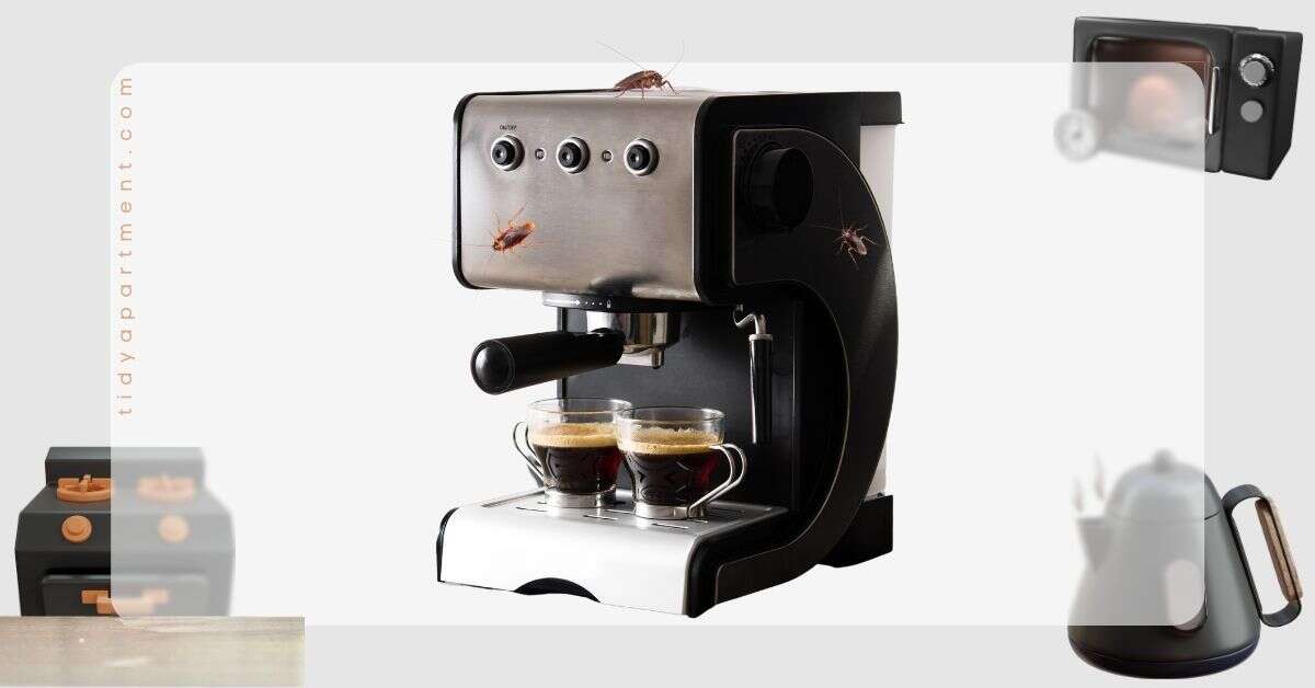 How To Keep Roaches Out Of Your Coffee Maker: 101