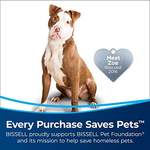 Best Vacuum Cleaner For Dog Hair: Top Picks & Buying Guide