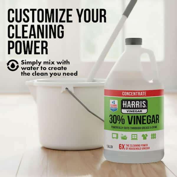How To Clean Vacuum Cleaner Hose With Vinegar Solution: DIY
