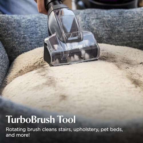 Best Inexpensive Vacuum Cleaner For Pet Hair: Top Picks