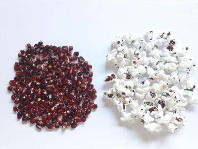 Can Pomegranate Seeds Make Popcorn