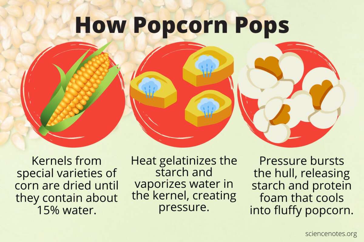 What Makes The Popcorn Pop