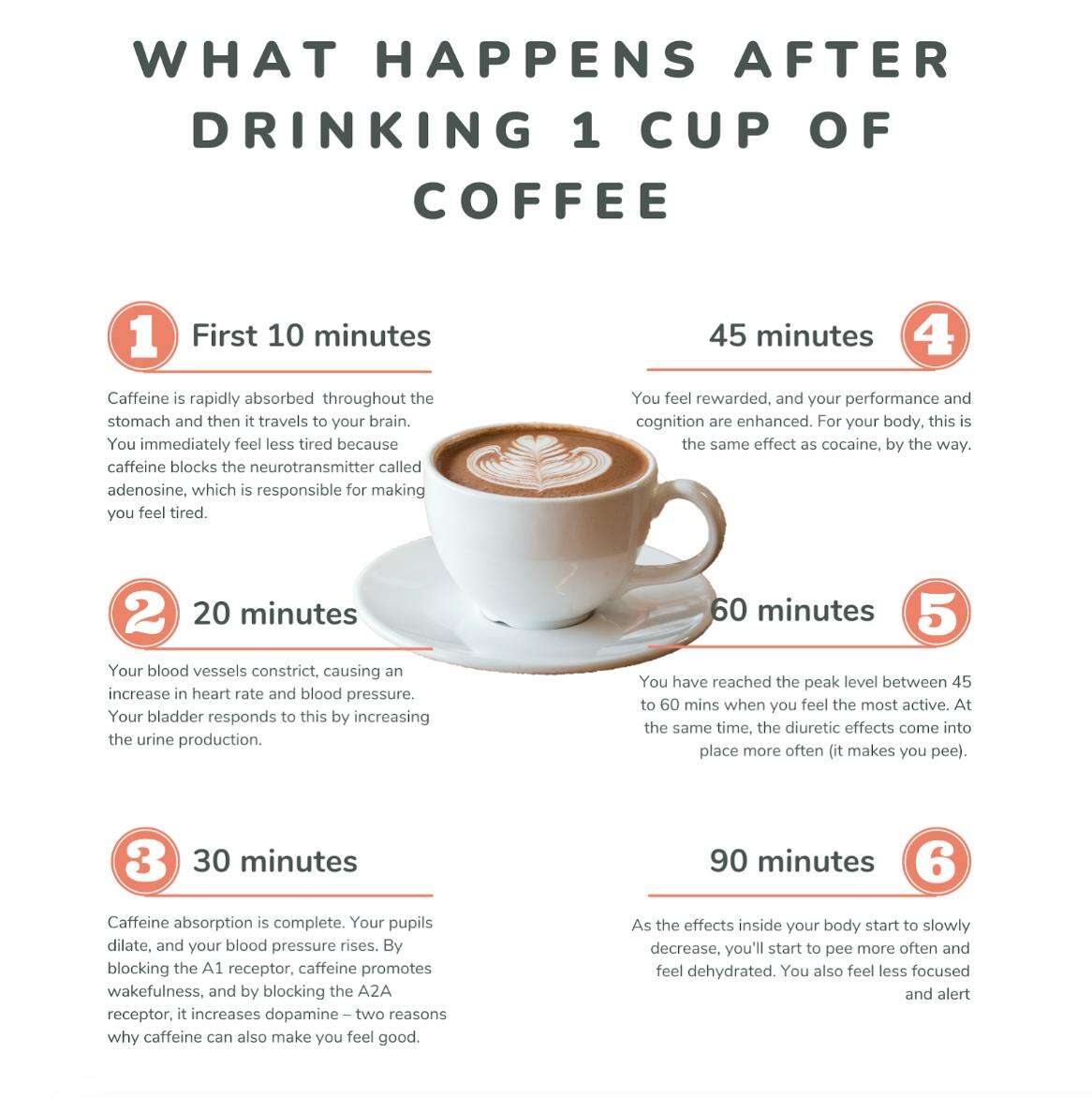 Does Coffee Make You Urinate More: What To Know
