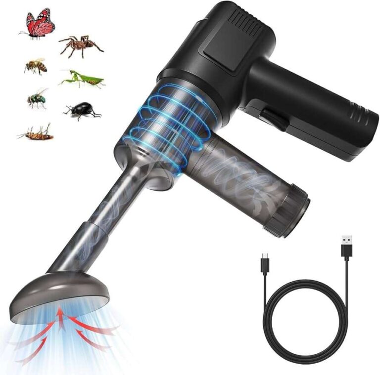 How Long Can A Wasp Live In A Vacuum Cleaner