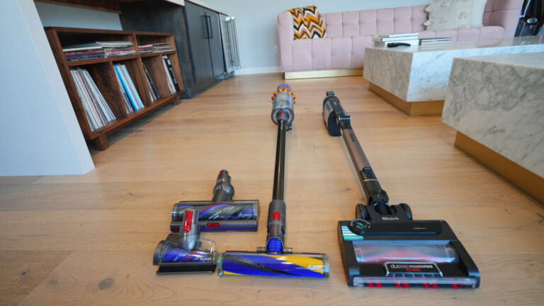 Can Ants Survive In A Vacuum Cleaner