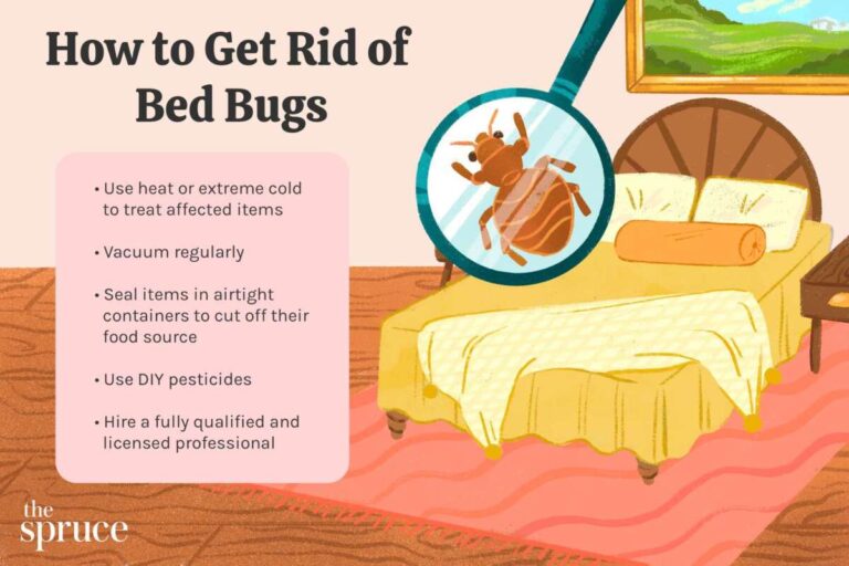 Does Vacuum Cleaner Kill Bed Bugs