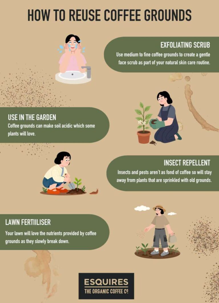 Do Coffee Grounds Make Soil Acidic