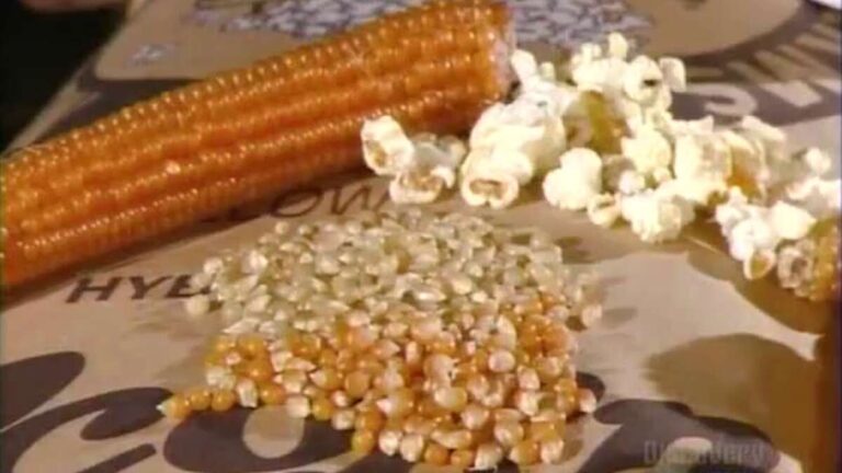 How Do They Make Popcorn