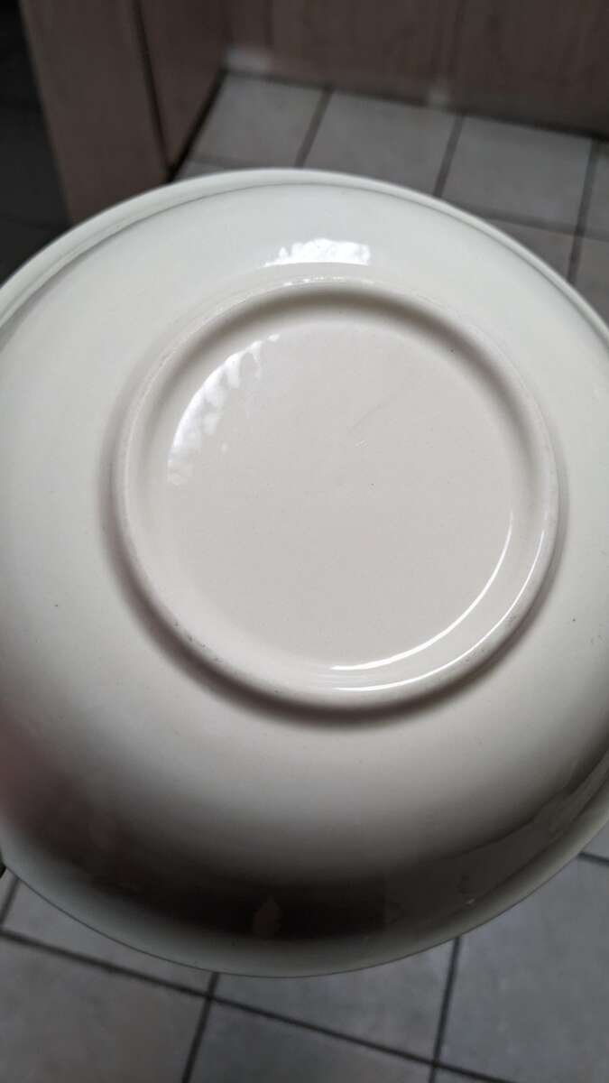 Can Ceramic Bowls Go Under The Broiler