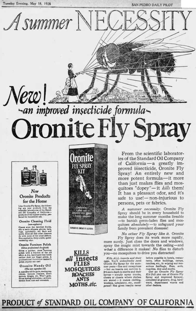 Can Flies Survive In A Vacuum Cleaner: What Happens?