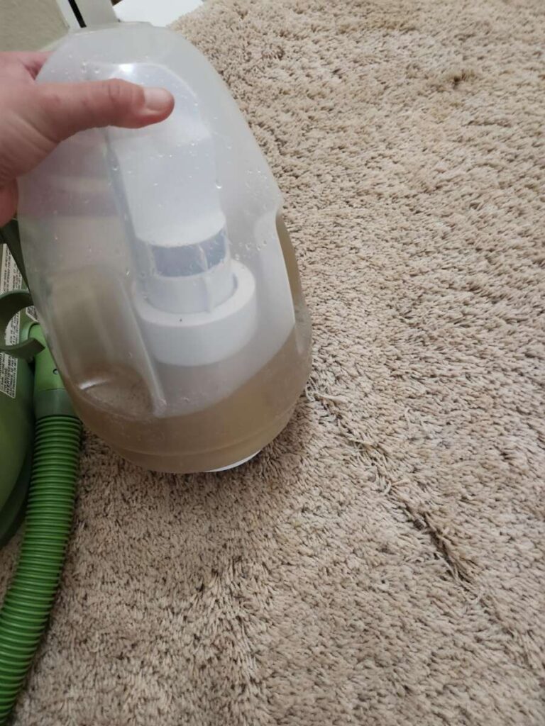 How Long After Carpet Cleaning Can I Vacuum