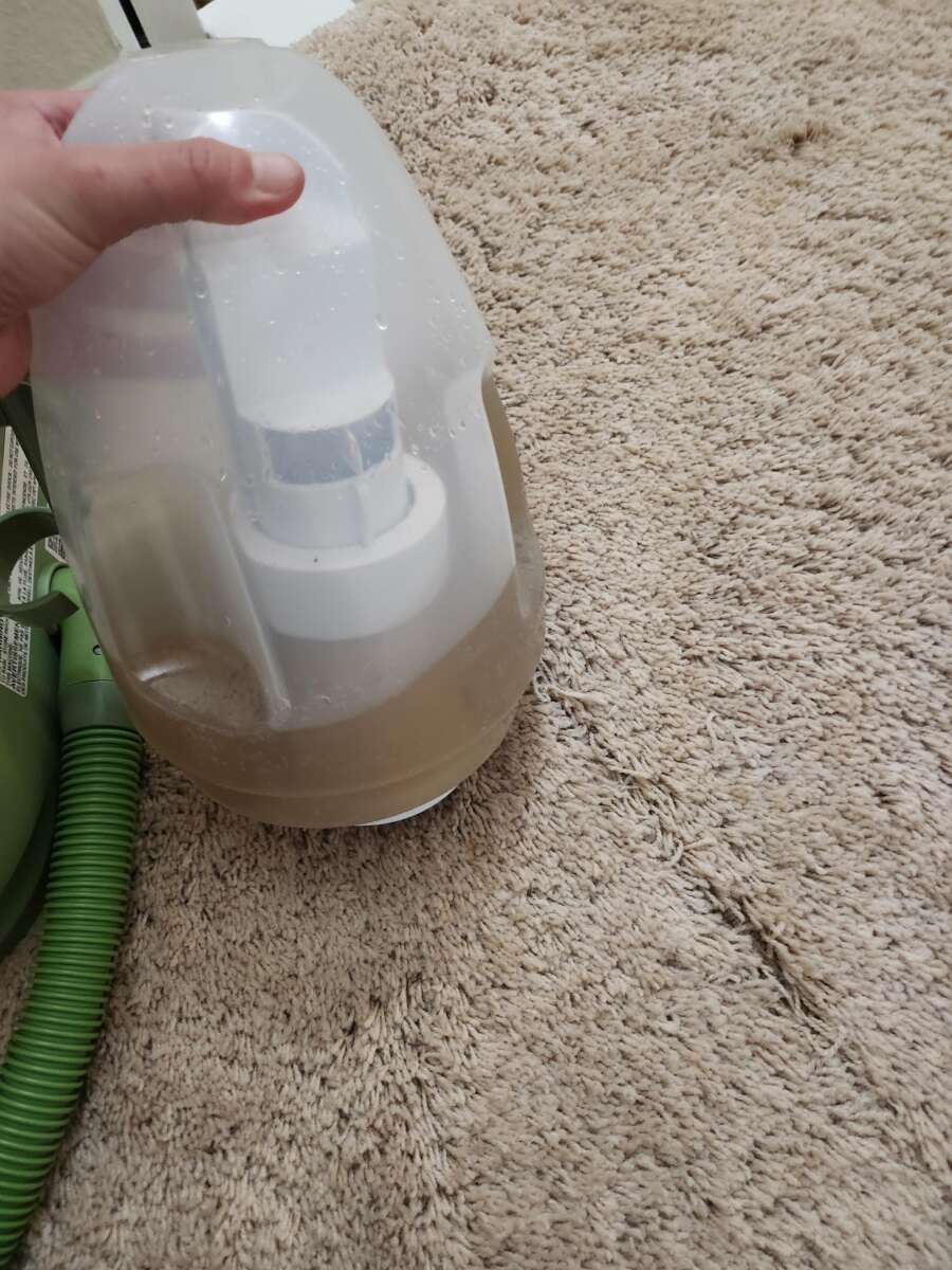 How Long After Carpet Cleaning Can I Vacuum